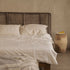 products/Kias_0087_Kias65.4.jpg